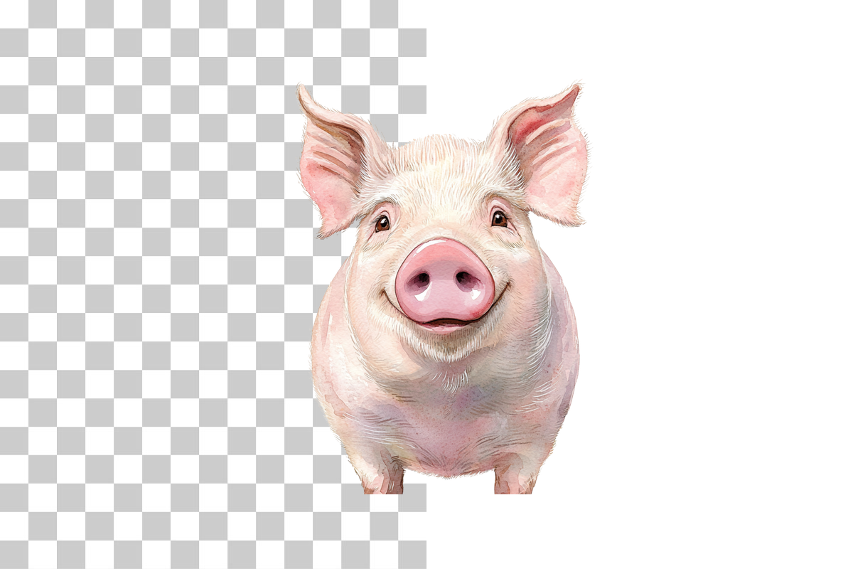 Funny Pig Face Clipart Bundle