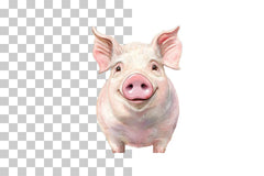 Funny Pig Face Clipart Bundle - CraftNest - Digital Crafting and Art