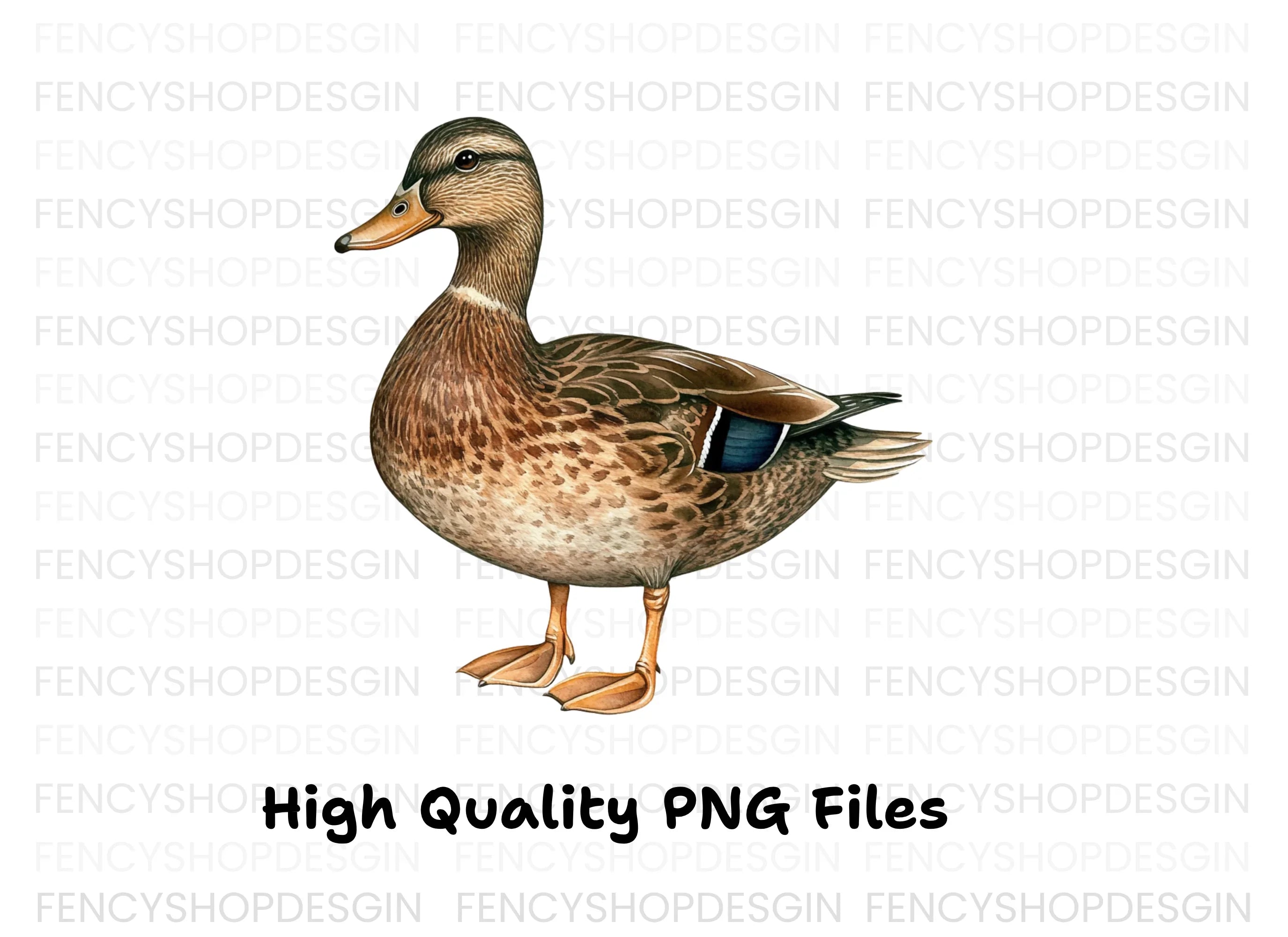 Female Mallard Duck Clipart Bundle