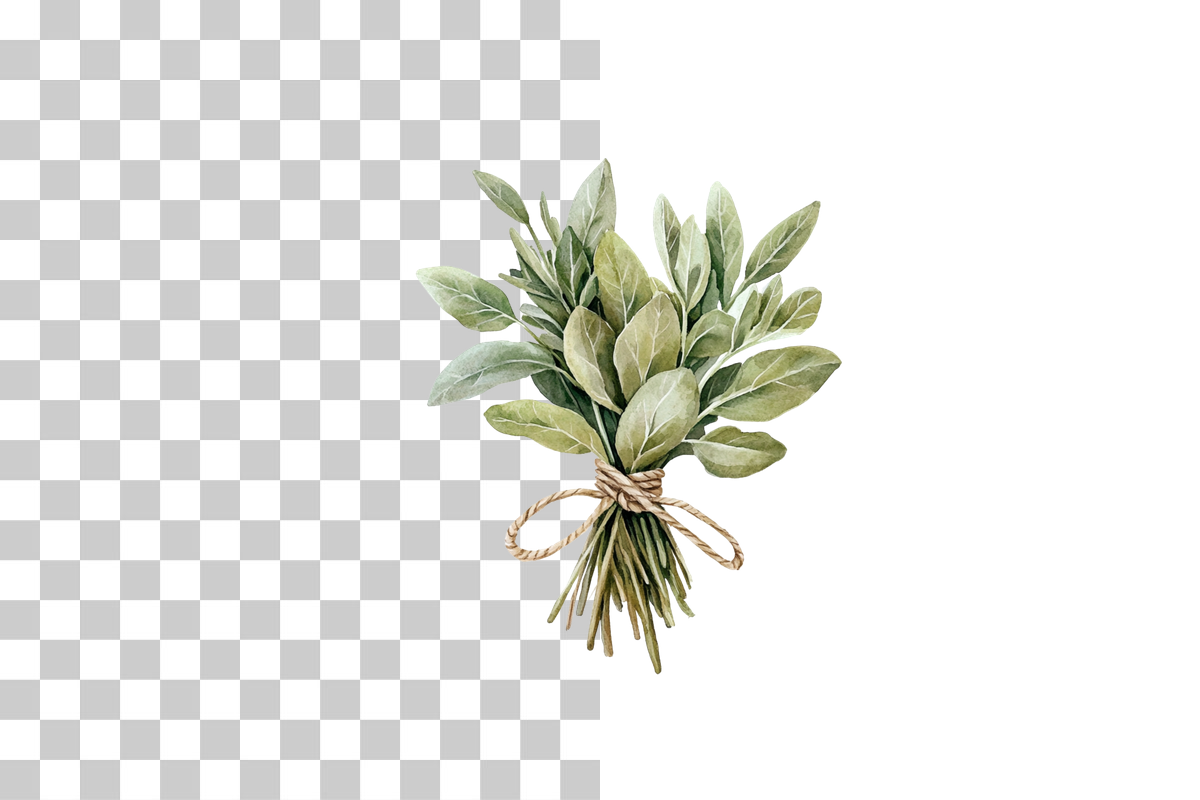 Tied Culinary Herb Clipart Bundle