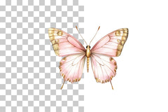 Pink Butterfly Gold Wings Clipart Bundle - CraftNest - Digital Crafting and Art
