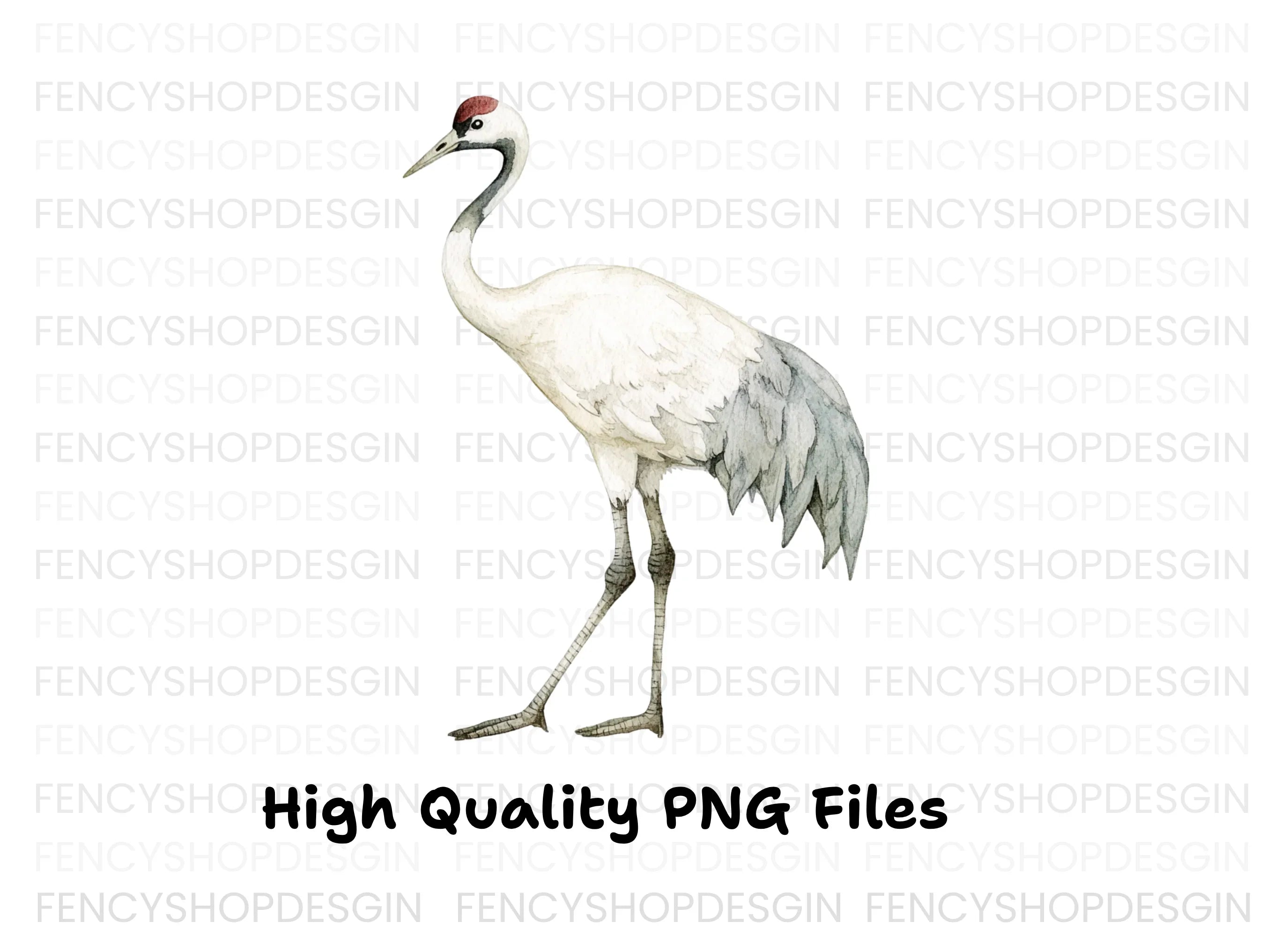 Body Crane Bird Clipart Bundle