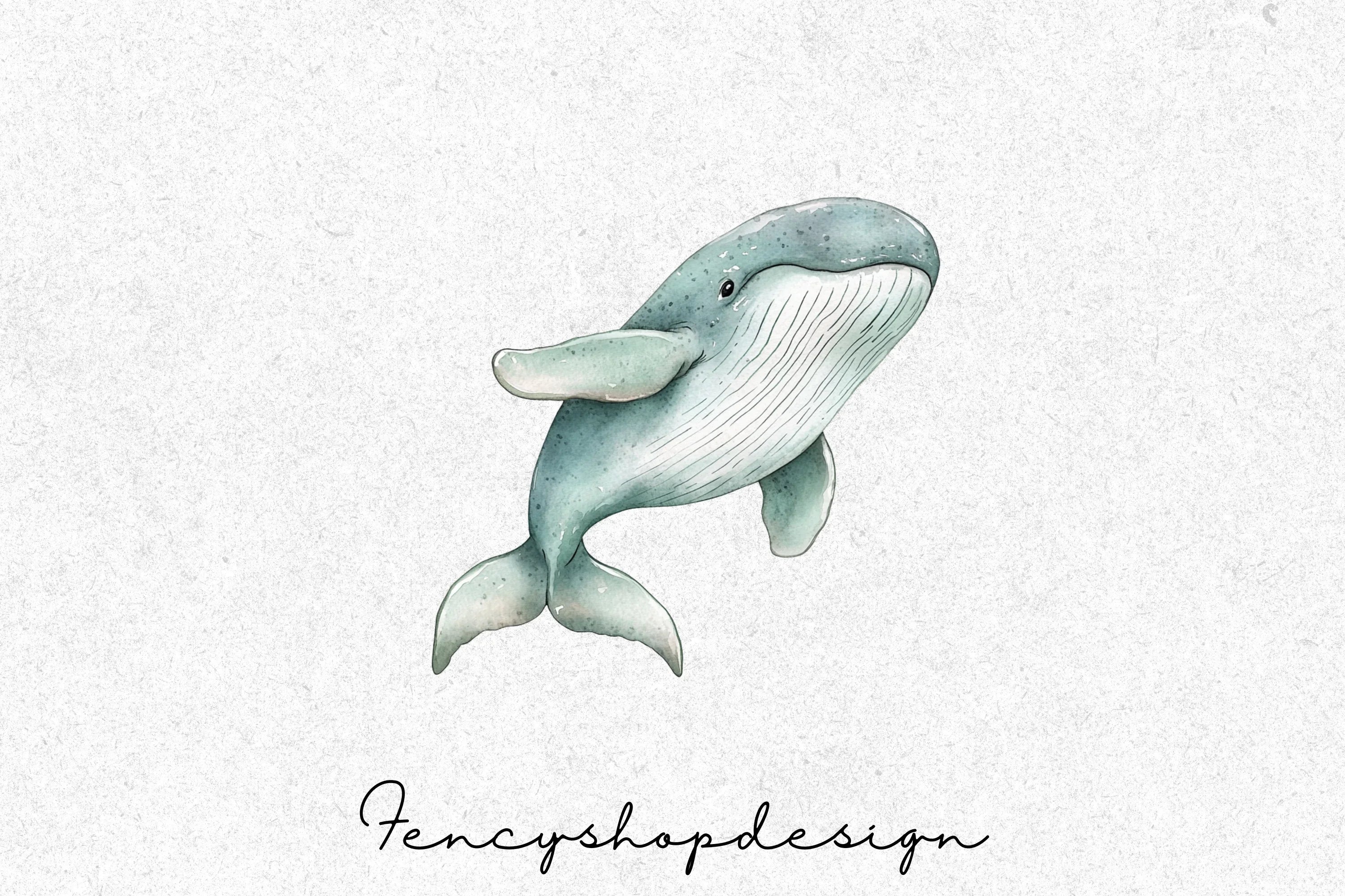 Whale and Dolphin Clipart Bundle