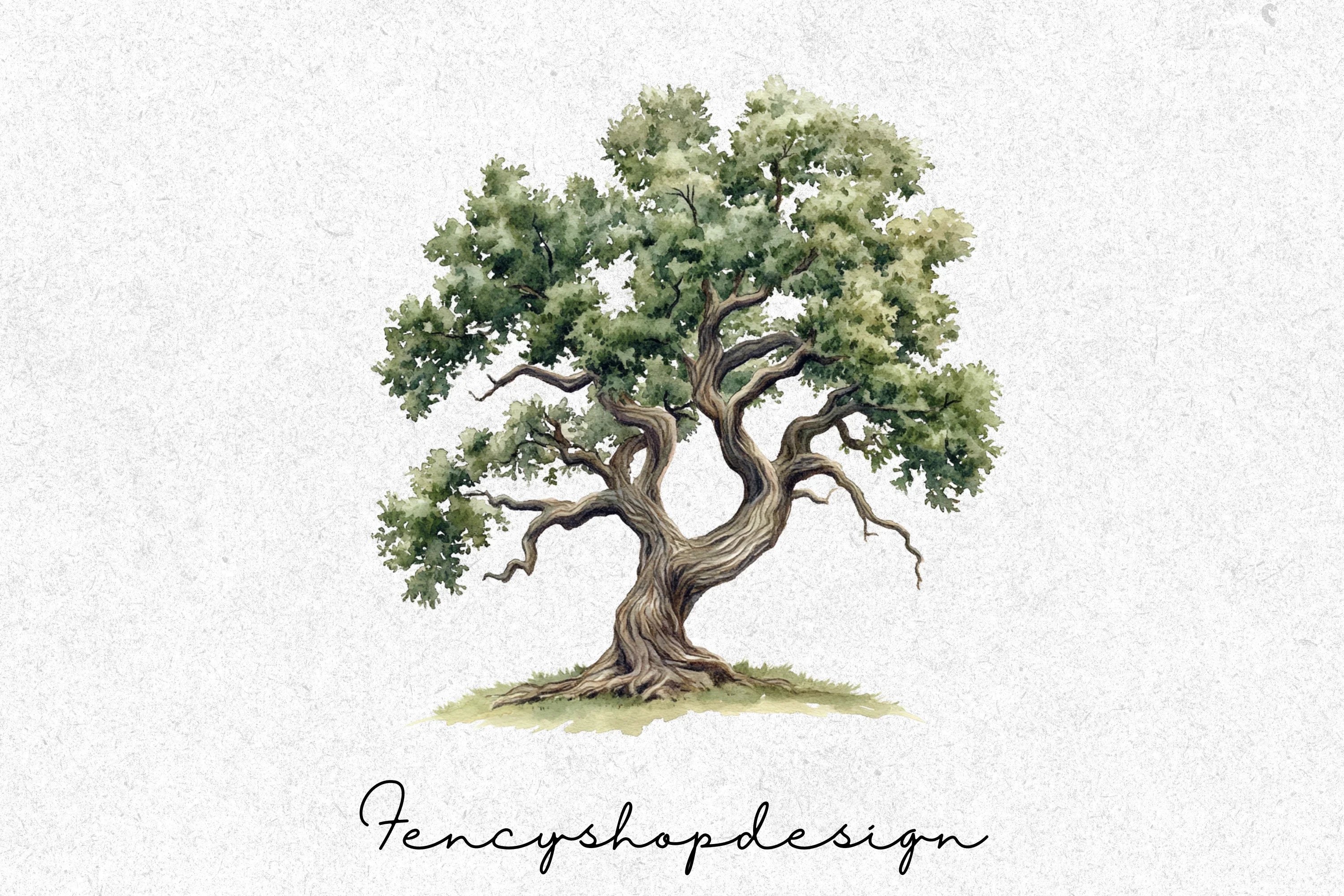 Realistic Tree Clipart Bundle