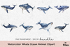 Whale Ocean Animal Clipart Bundle