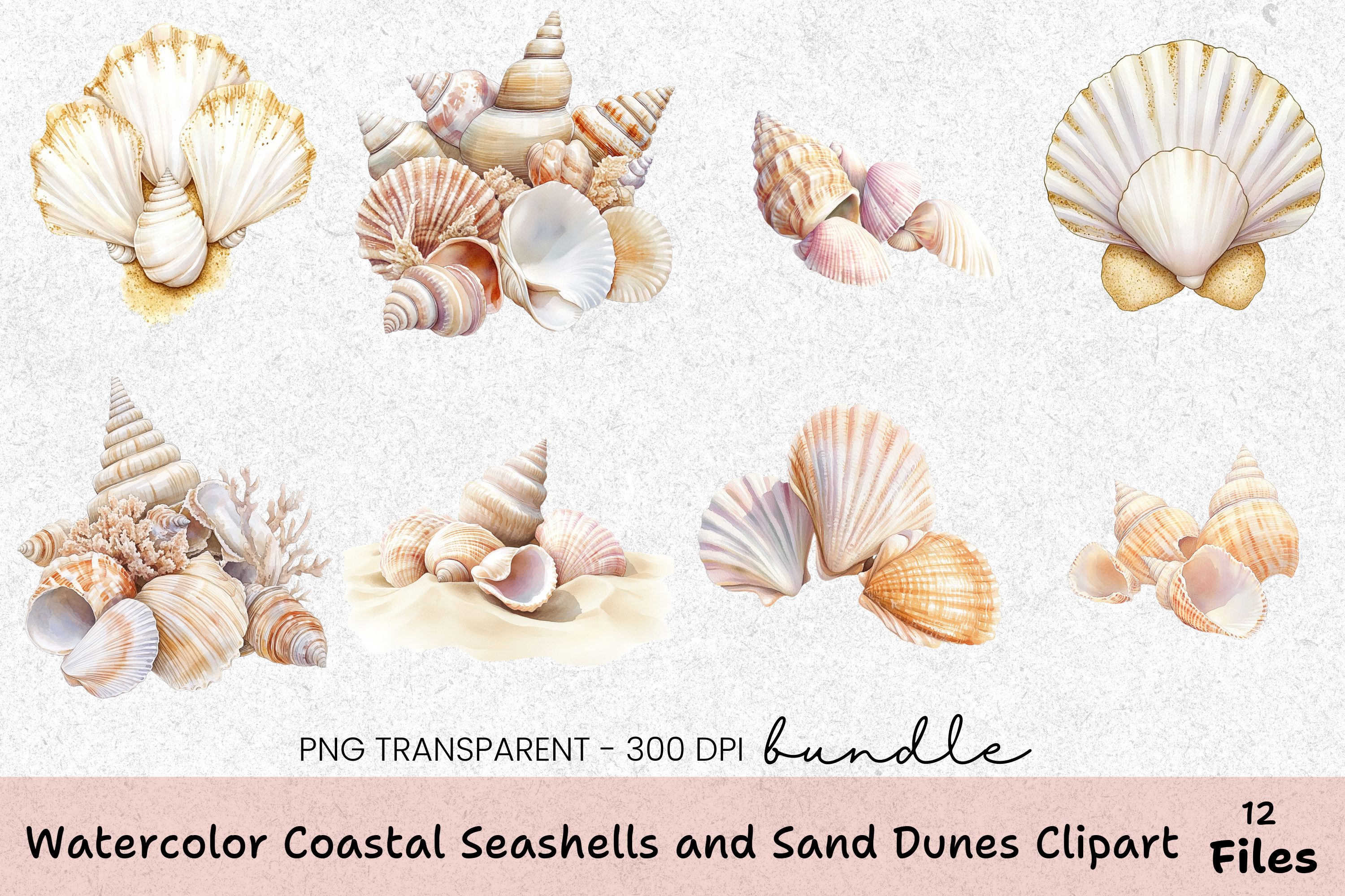 Coastal Seashells and Sand Dunes Clipart Bundle