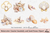 Coastal Seashells and Sand Dunes Clipart Bundle