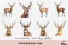 Woodland Deer Stag Clipart Bundle