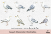 Seagull Illustration Clipart Bundle