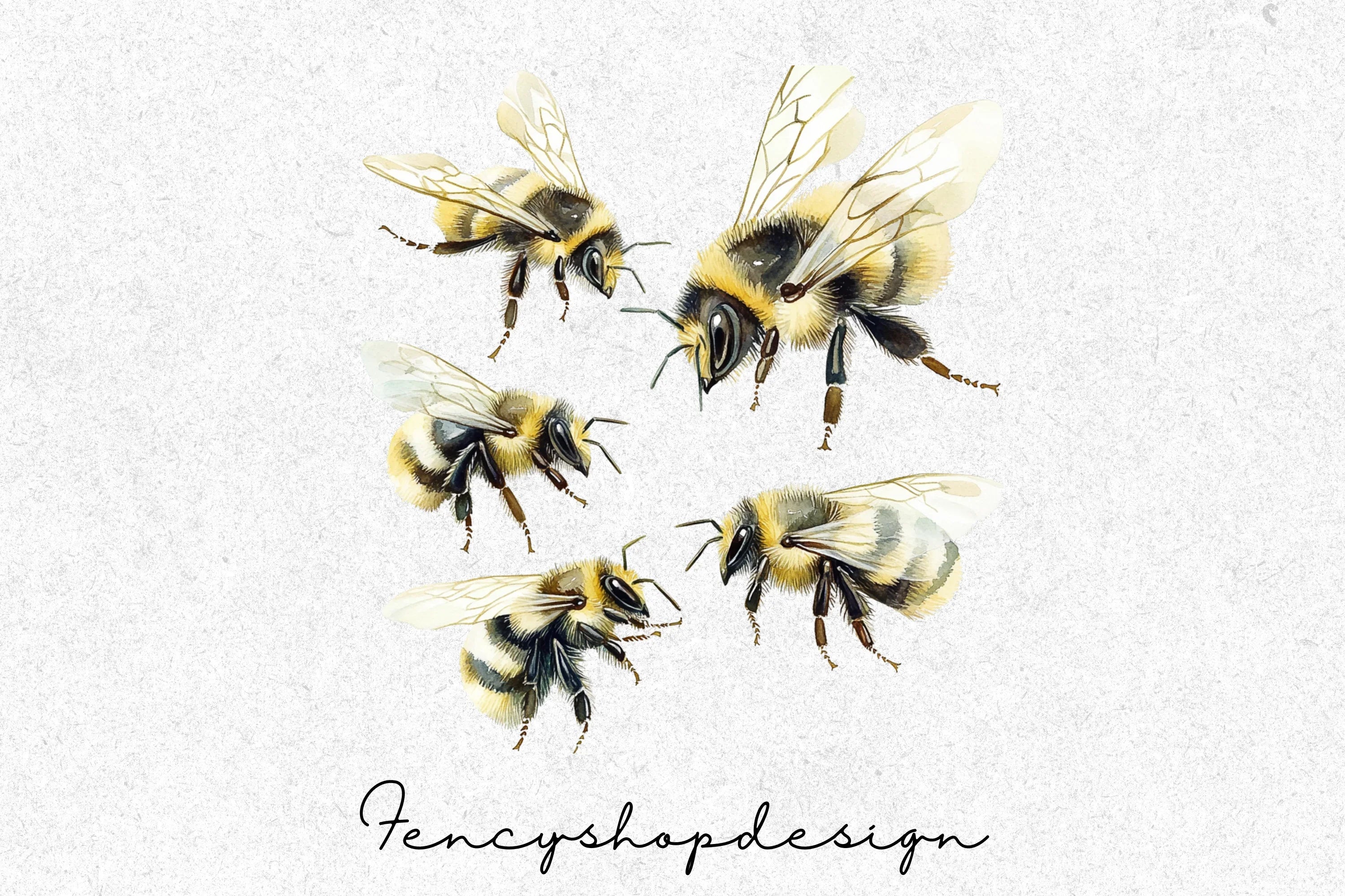Realistic Bumblebee Clipart Bundle