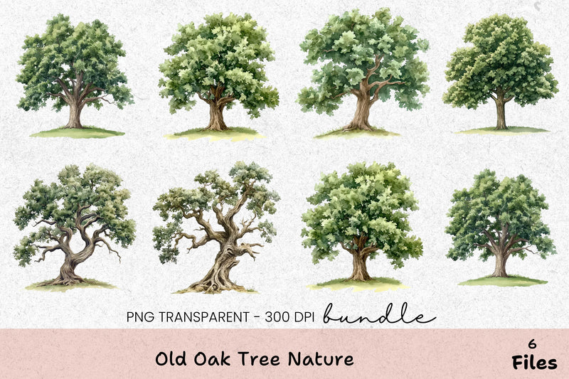 Old Oak Tree Nature Clipart Bundle - CraftNest - Digital Crafting and Art