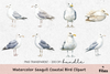 Seagull Coastal Bird Clipart Bundle