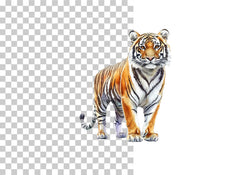Vibrant Tiger Splatter Clipart Bundle - CraftNest - Digital Crafting and Art