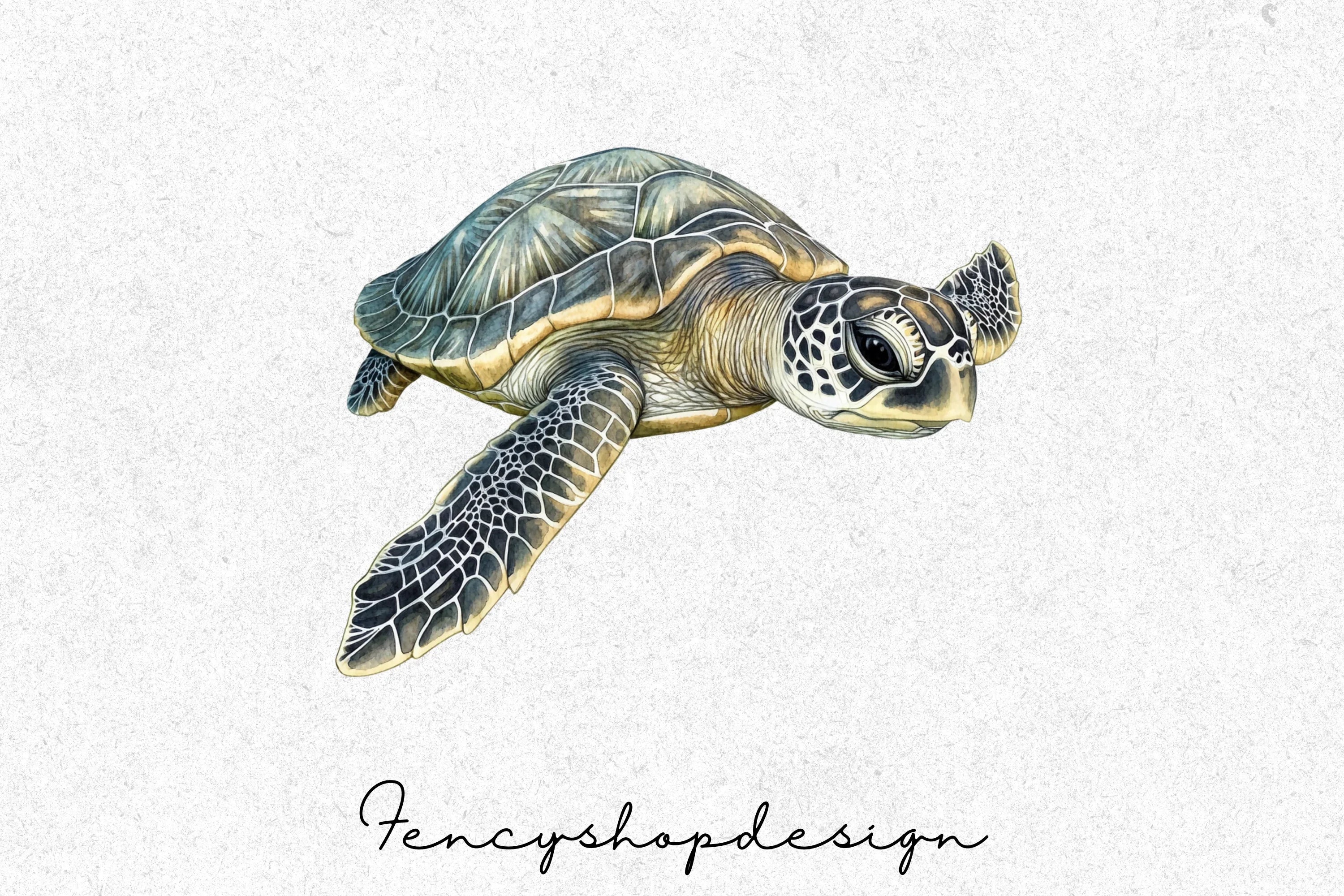Realistic Sea Turtle Clipart Bundle