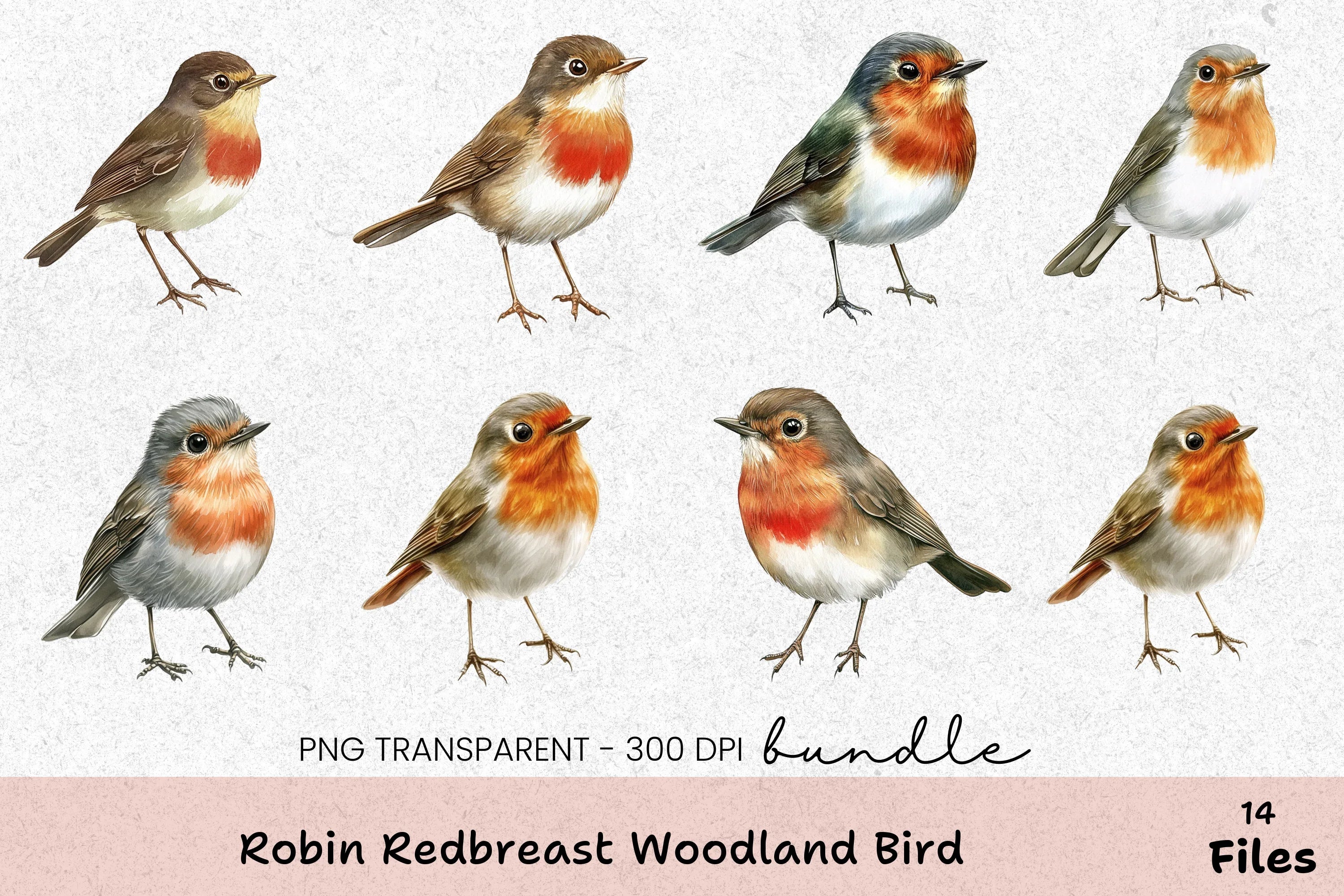 Robin Redbreast Woodland Bird Clipart Bundle - CraftNest - Digital Crafting and Art