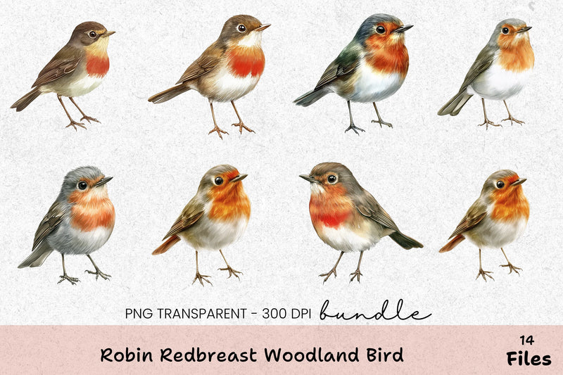 Robin Redbreast Woodland Bird Clipart Bundle - CraftNest - Digital Crafting and Art
