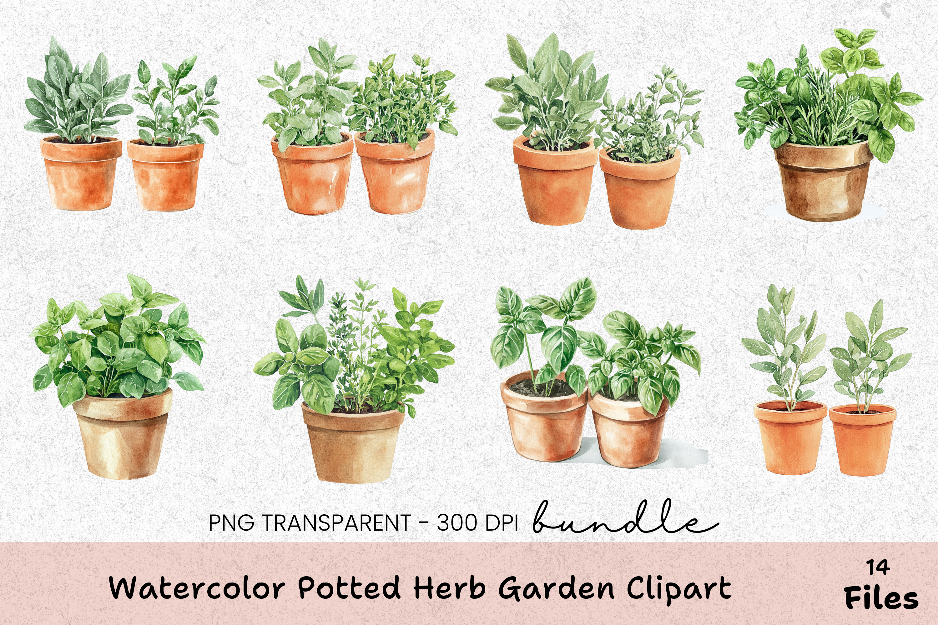 Potted Herb Garden Clipart Bundle