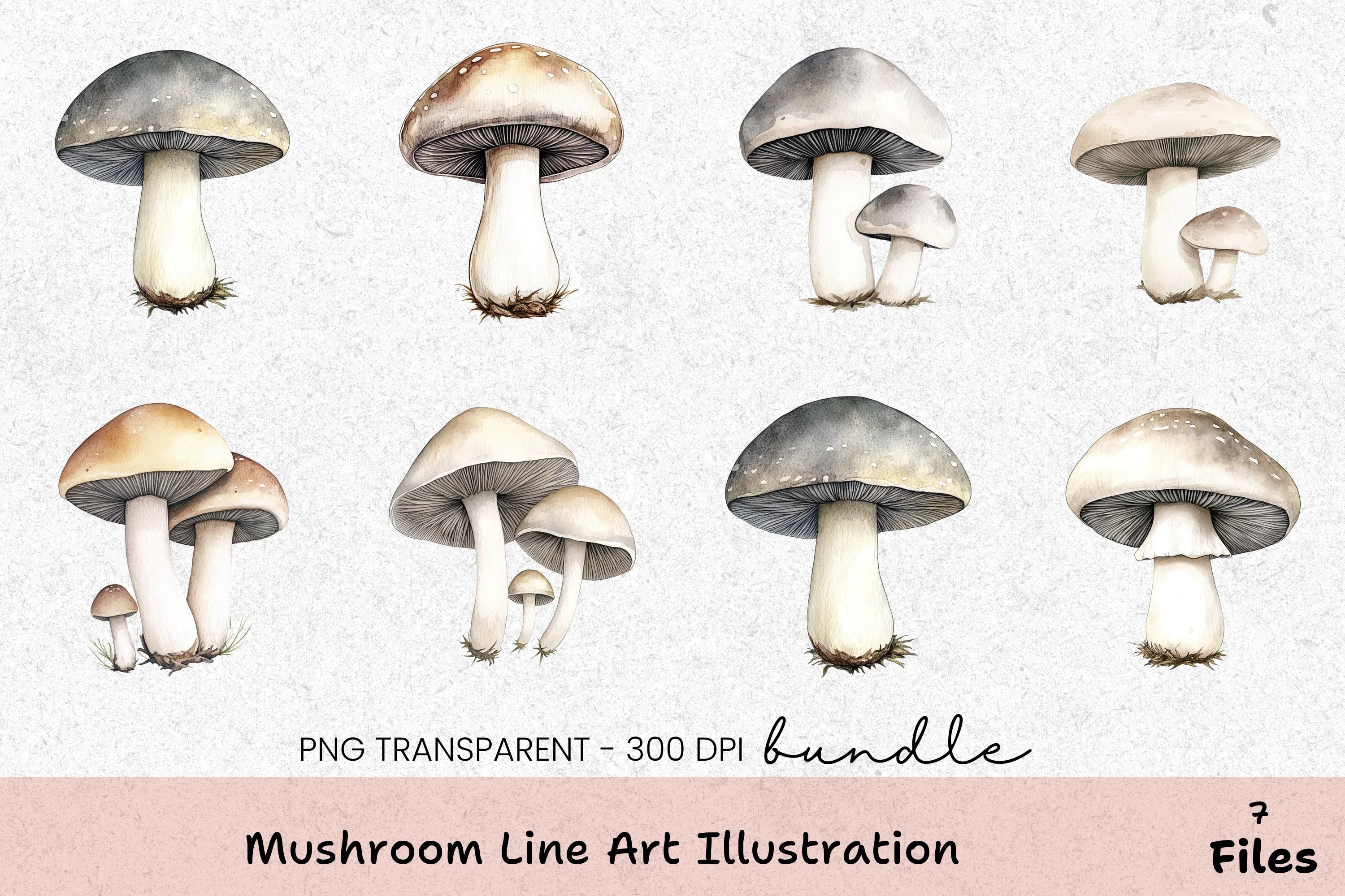Mushroom Line Art Illustration Clipart Bundle - CraftNest - Digital Crafting and Art