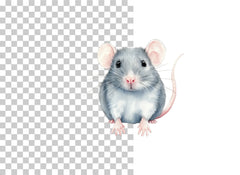 Pet Rat Illustration Clipart Bundle - CraftNest - Digital Crafting and Art