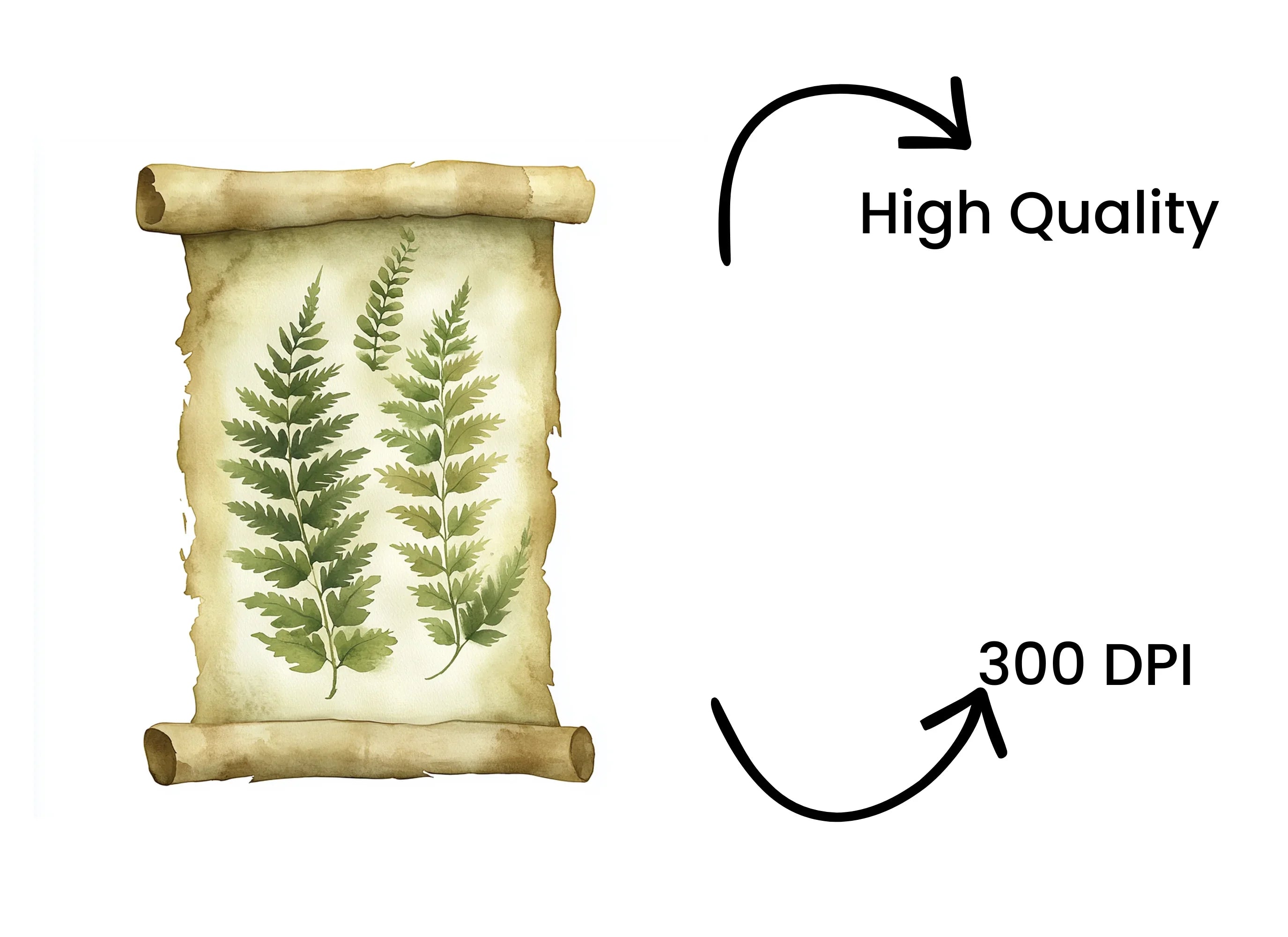 Vintage Ferns Scroll Clipart Bundle