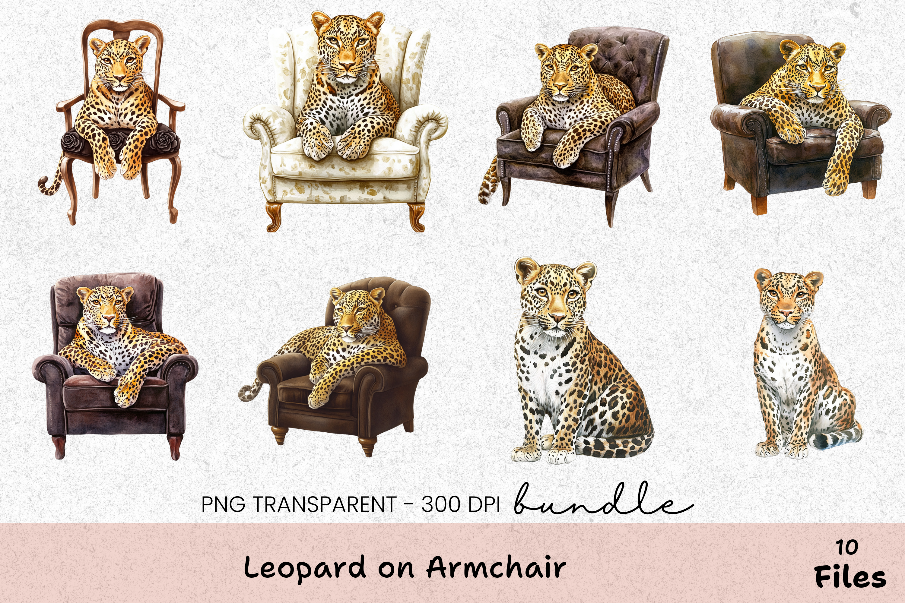 Leopard on Armchair Clipart Bundle