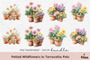 Potted Wildflowers in Terracotta Pots Clipart Bundle