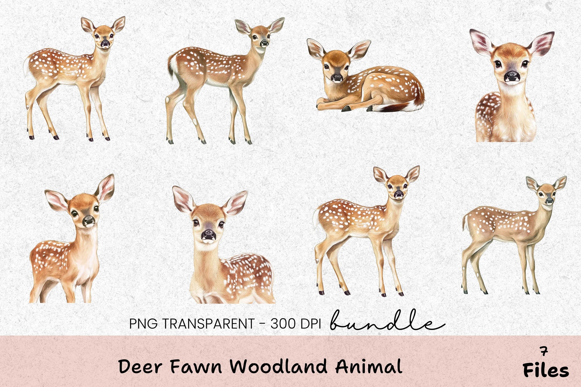 Deer Fawn Woodland Animal Clipart Bundle - CraftNest - Digital Crafting and Art