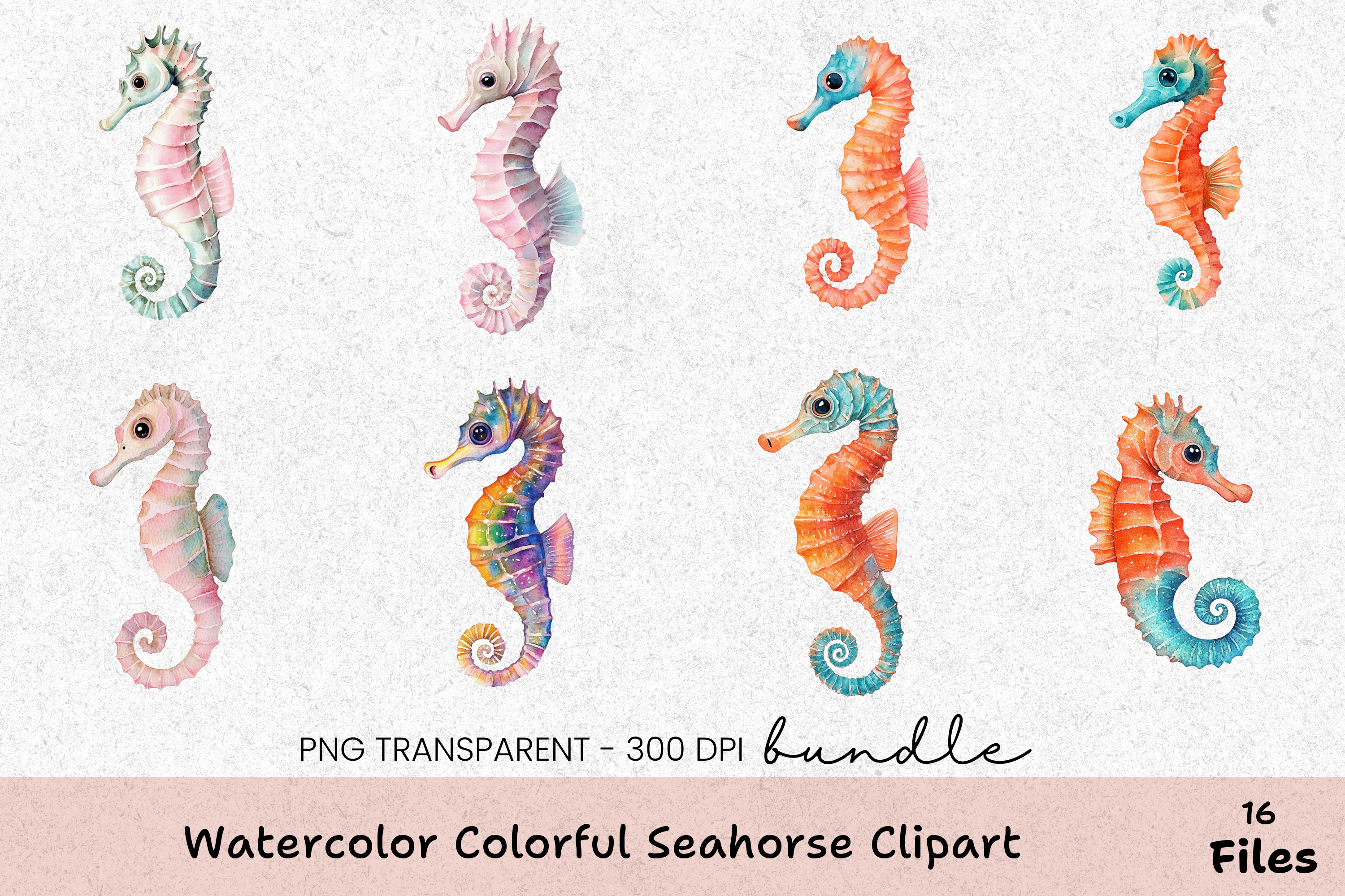 Colorful Seahorse Clipart Bundle