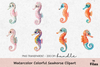 Colorful Seahorse Clipart Bundle