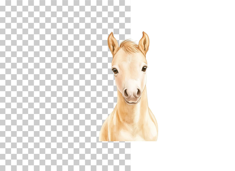 Baby Horse Nursery Pony Clipart Bundle - CraftNest - Digital Crafting and Art