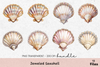 Jeweled Seashell Clipart Bundle