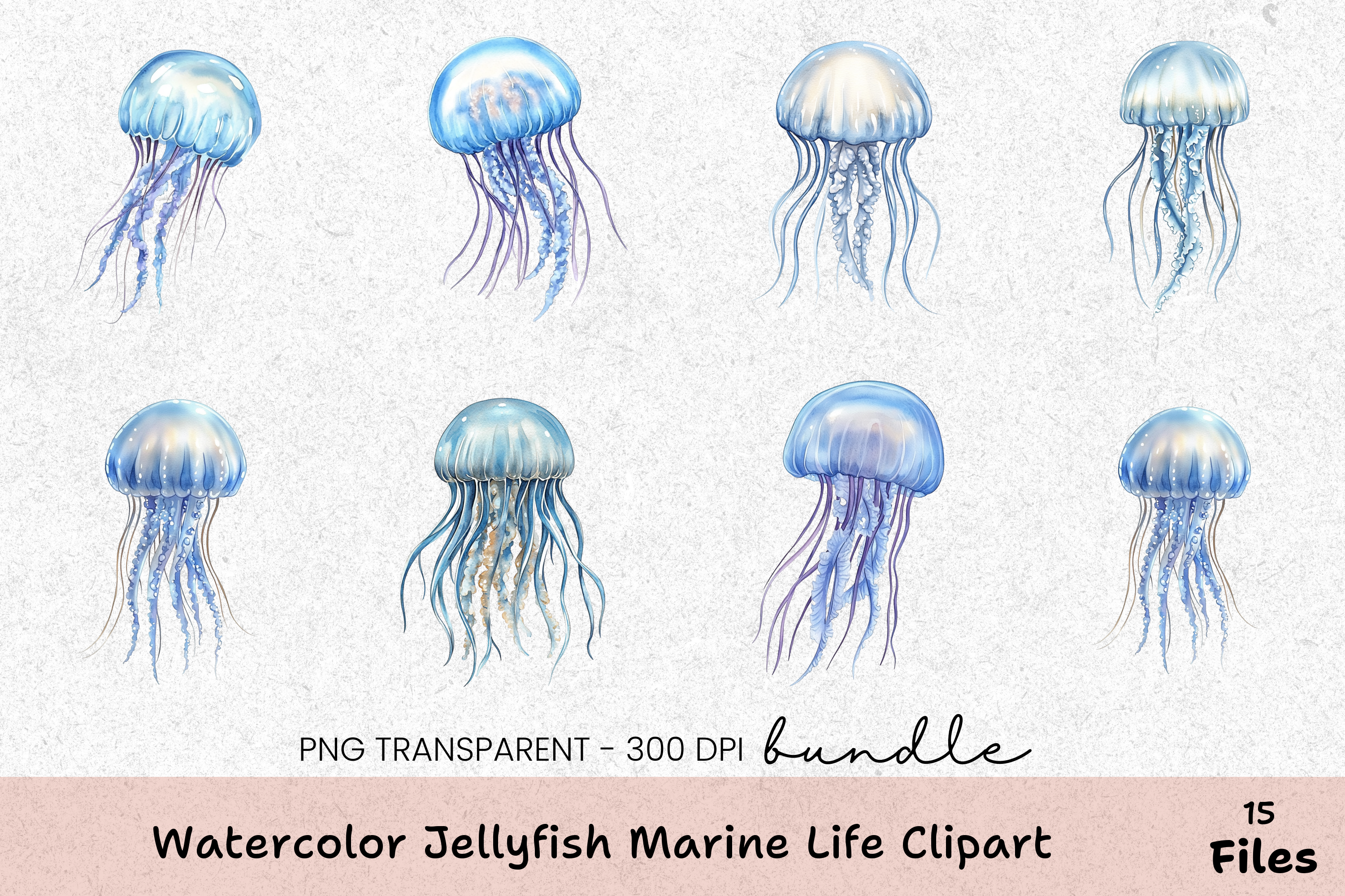 Jellyfish Marine Life Clipart Bundle