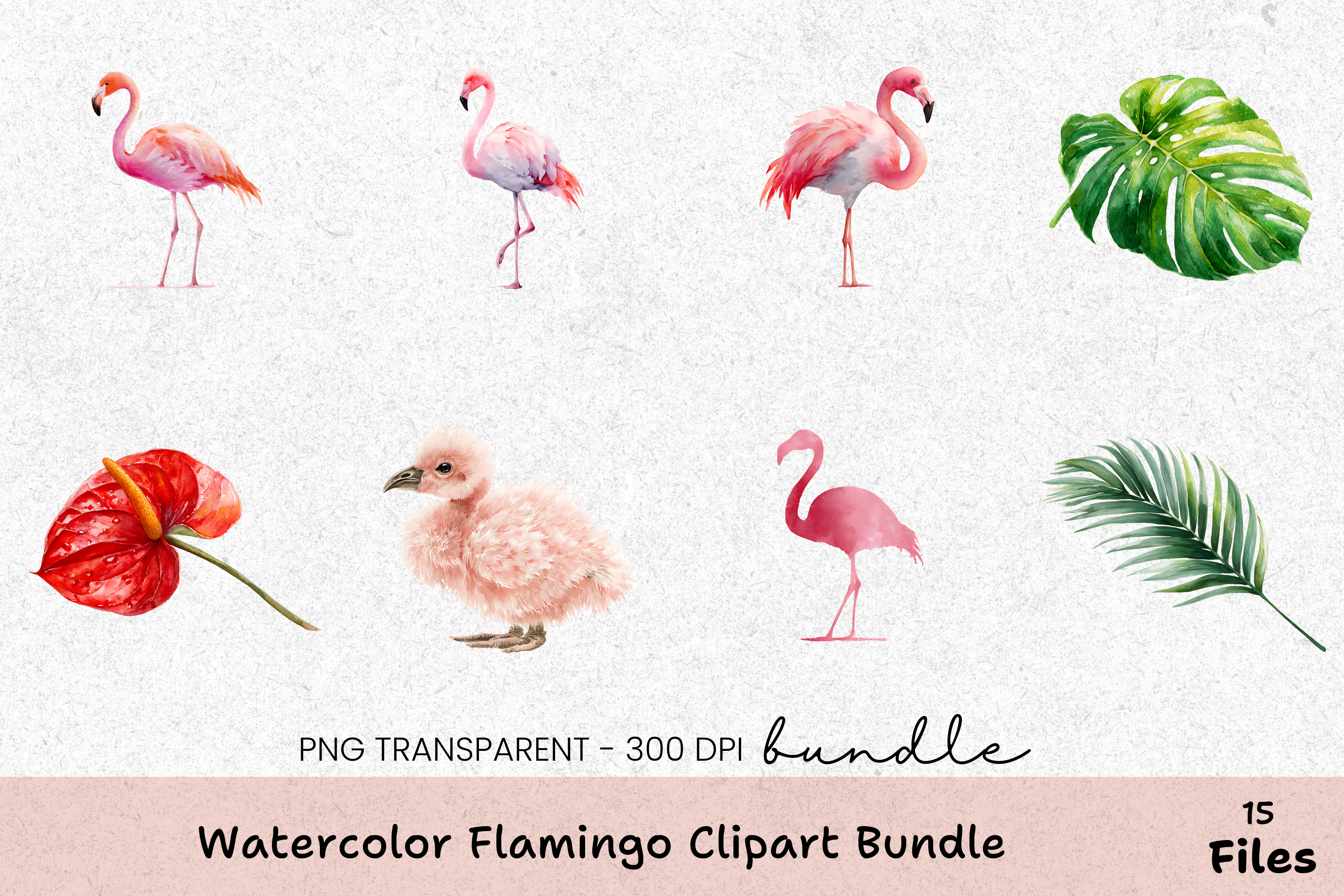Flamingo Clipart Bundle - Etb197
