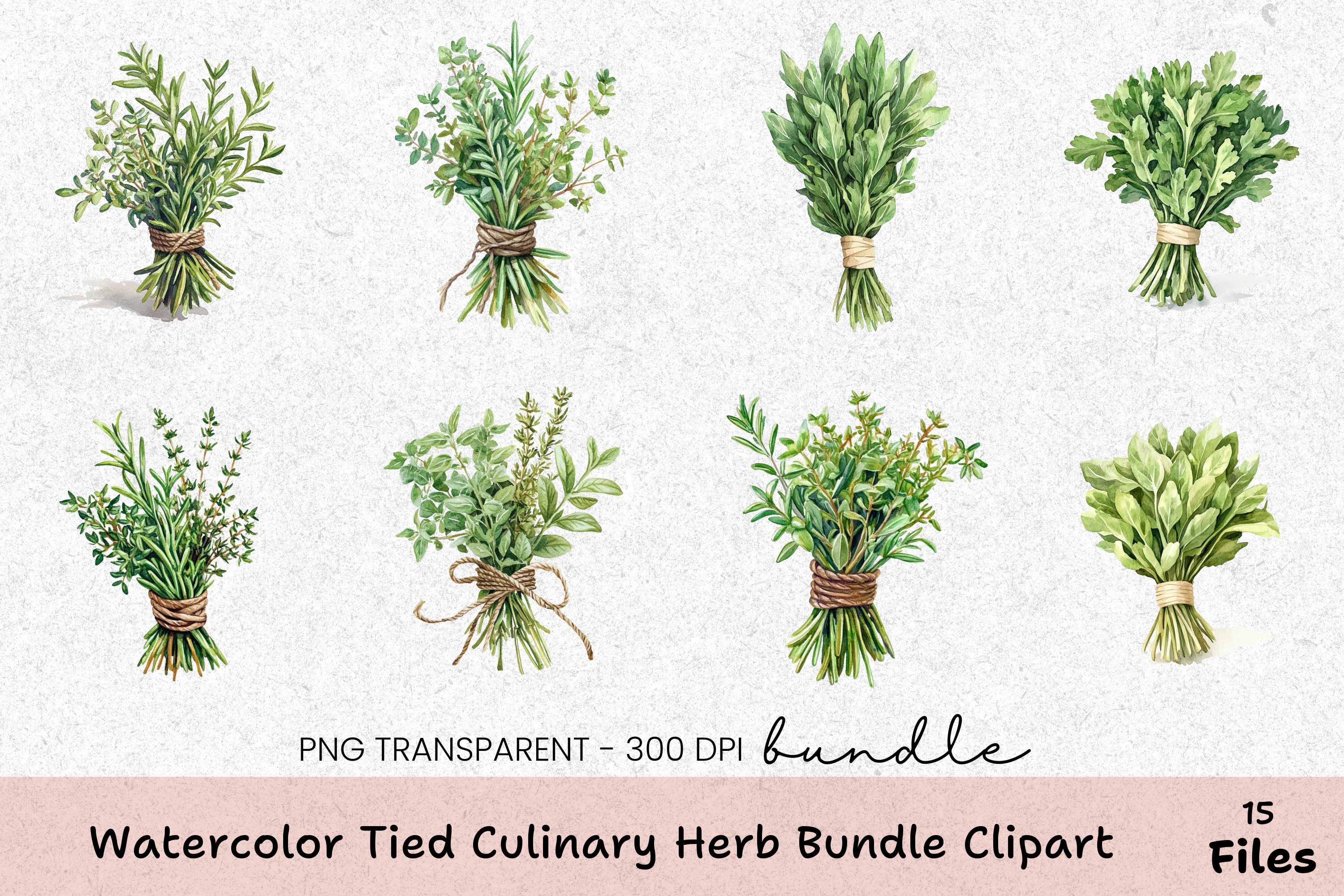 Tied Culinary Herb Clipart Bundle