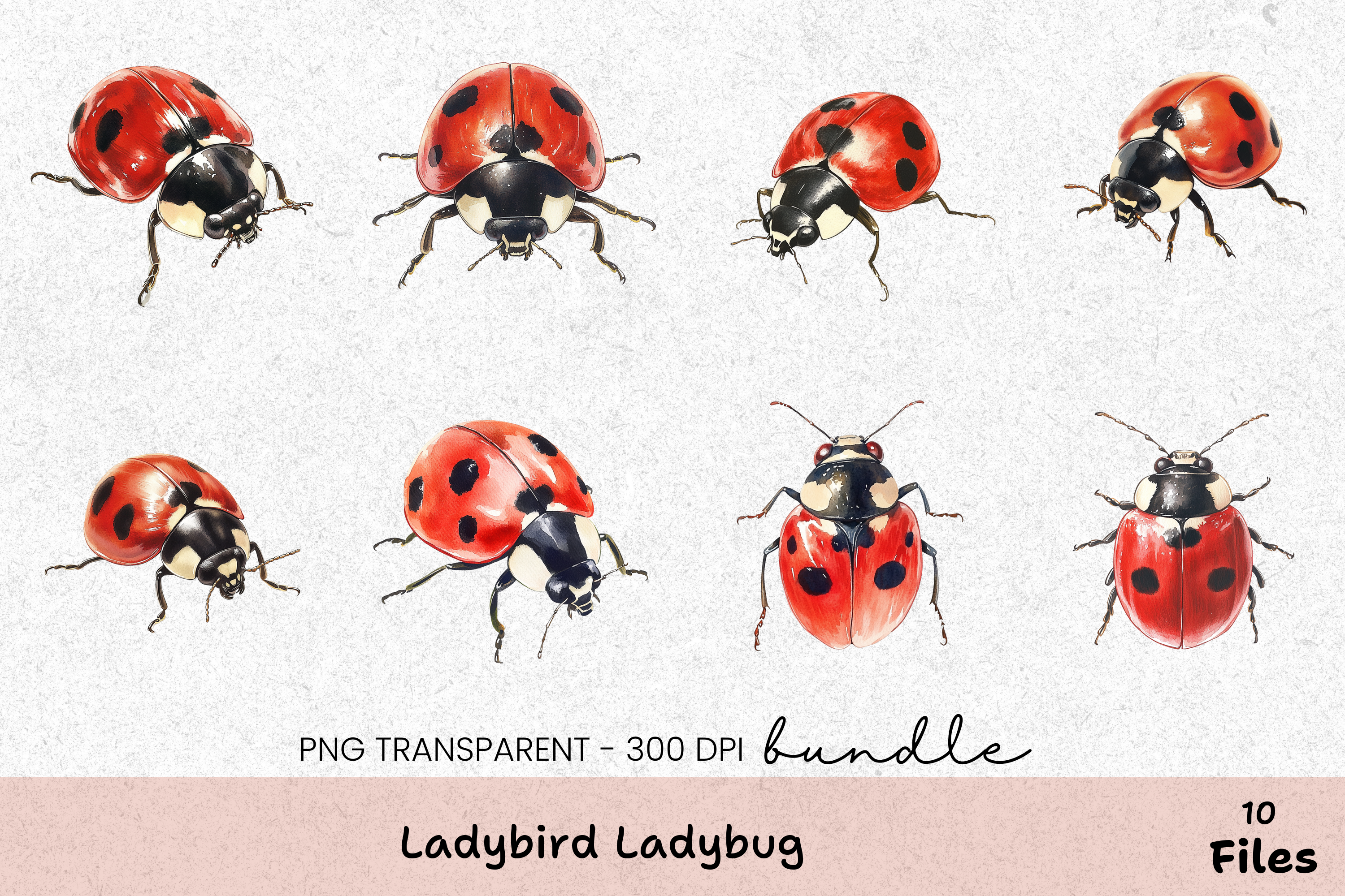 Ladybird Ladybug Clipart Bundle