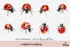Ladybird Ladybug Clipart Bundle