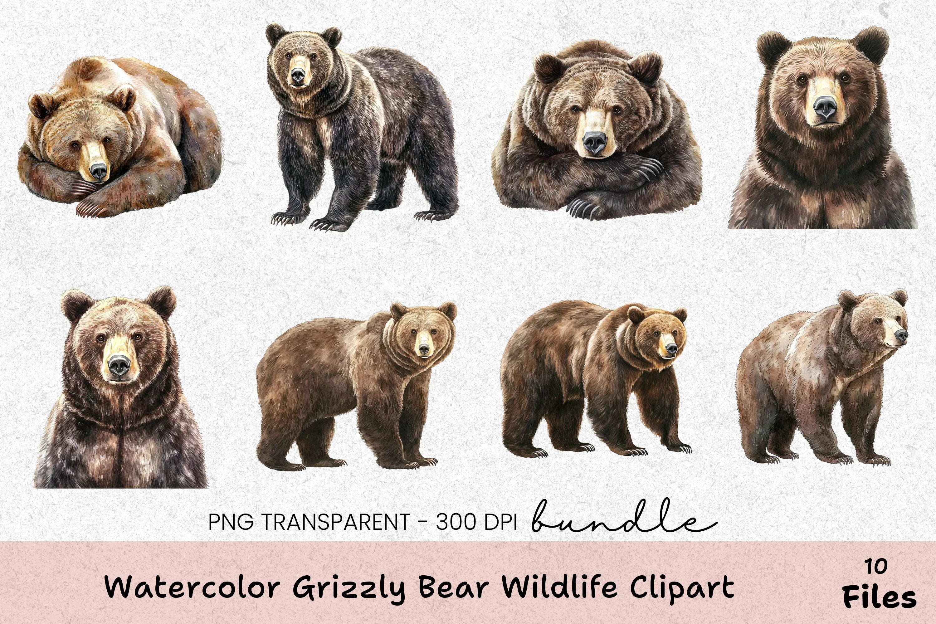 Grizzly Bear Wildlife Clipart Bundle - CraftNest - Digital Crafting and Art