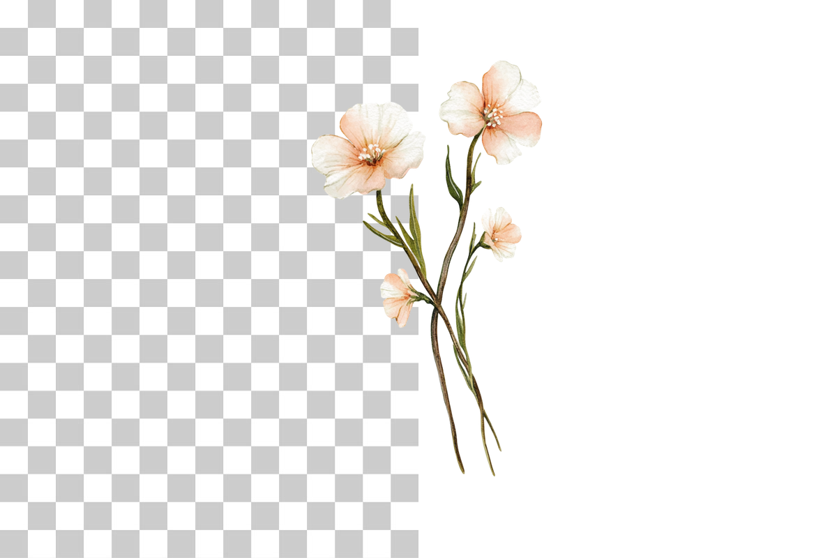 Adorable Spring Clipart Bundle