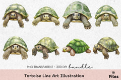 Tortoise Line Art Illustration Clipart Bundle - CraftNest - Digital Crafting and Art