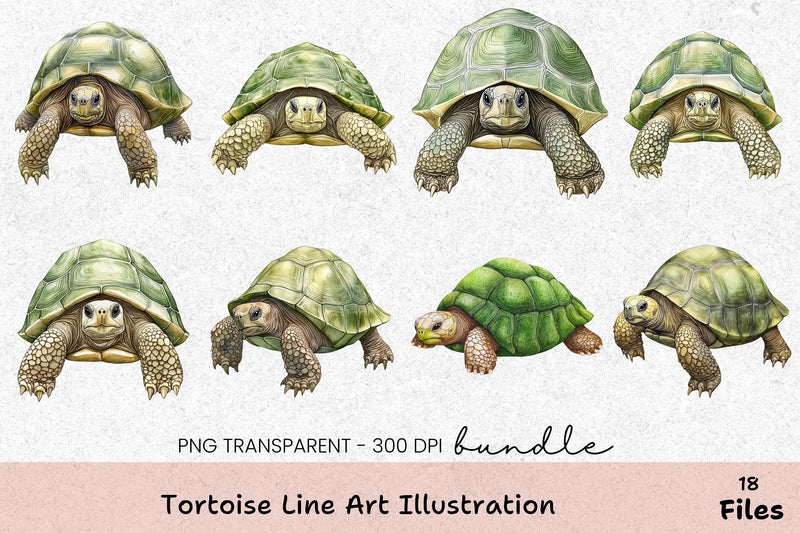 Tortoise Line Art Illustration Clipart Bundle - CraftNest - Digital Crafting and Art