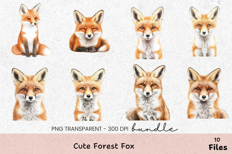 Cute Forest Fox Clipart Bundle - CraftNest - Digital Crafting and Art
