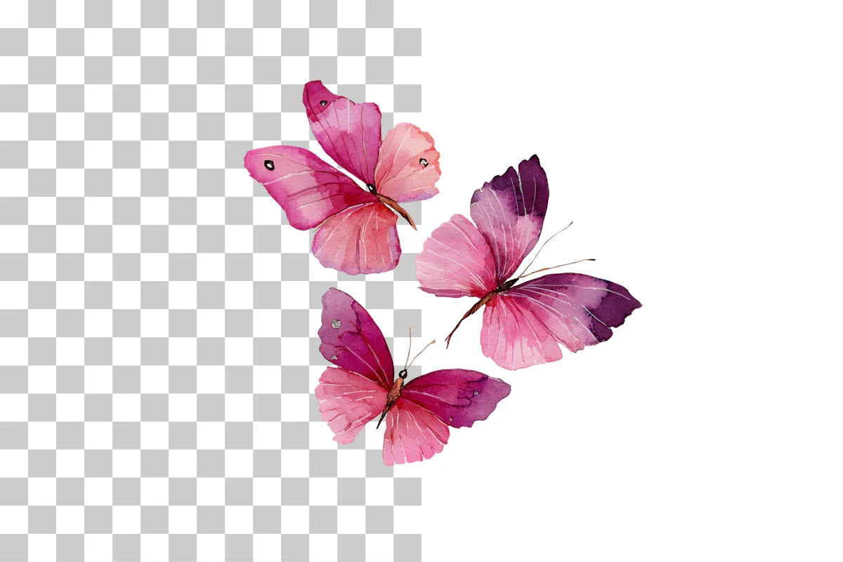 Cute Butterfly Clipart Bundle - CraftNest - Digital Crafting and Art