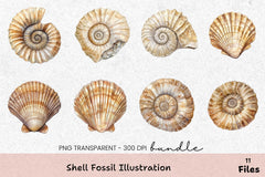 Shell Fossil Illustration Clipart Bundle - CraftNest - Digital Crafting and Art