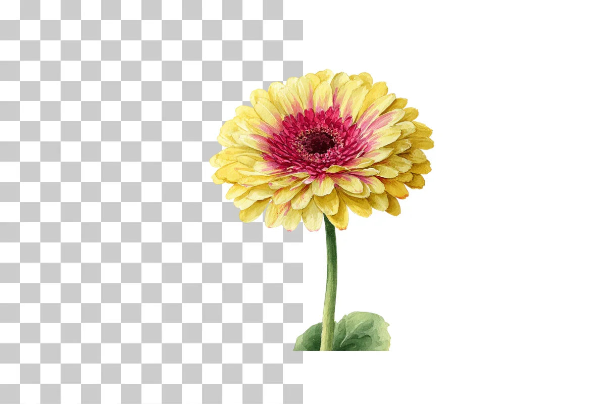 Summer Floral Clip Art Set - 417 Clipart Bundle - CraftNest - Digital Crafting and Art