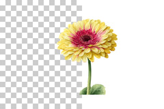 Summer Floral Clip Art Set - 417 Clipart Bundle - CraftNest - Digital Crafting and Art