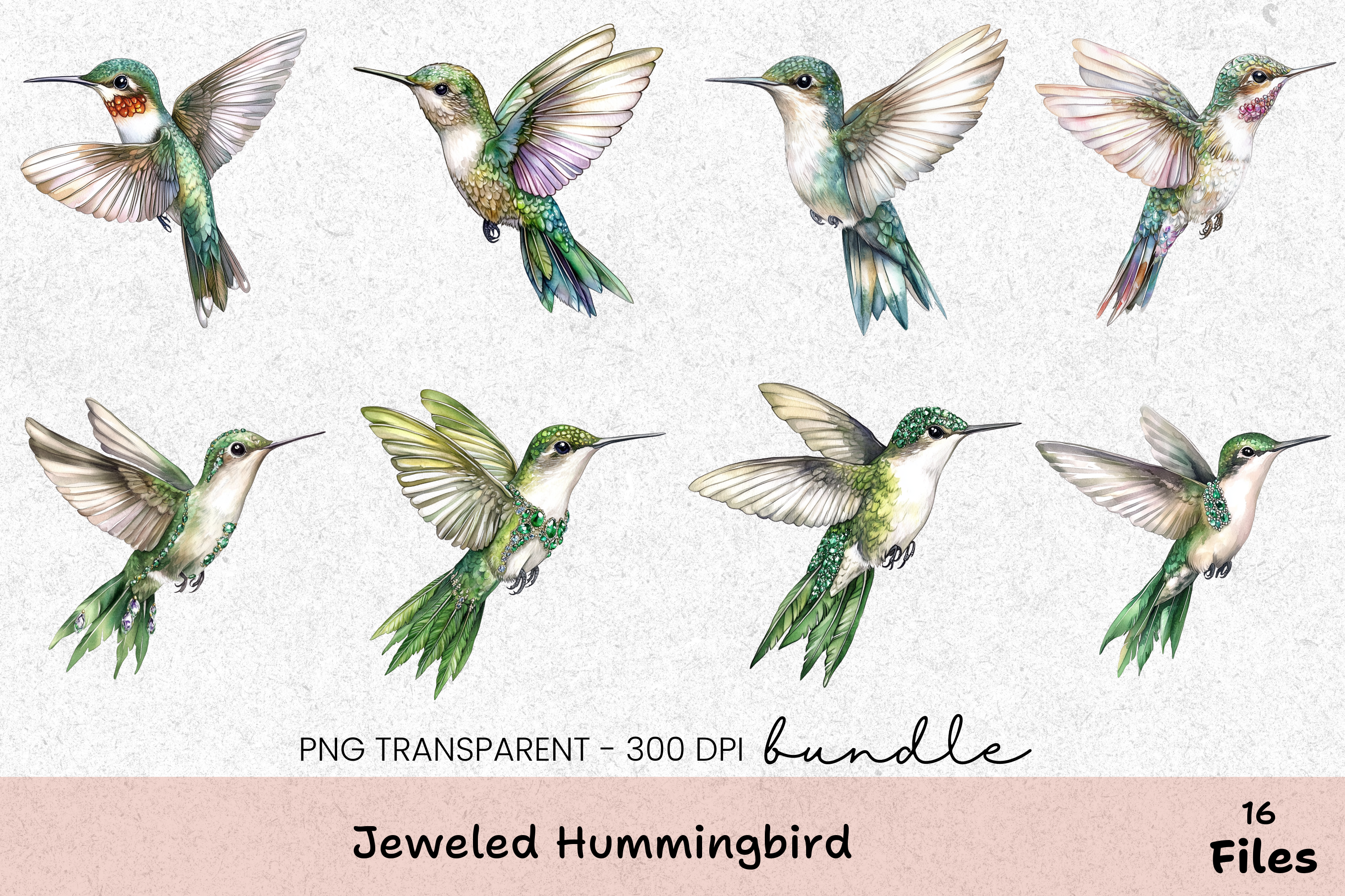 Jeweled Hummingbird Clipart Bundle