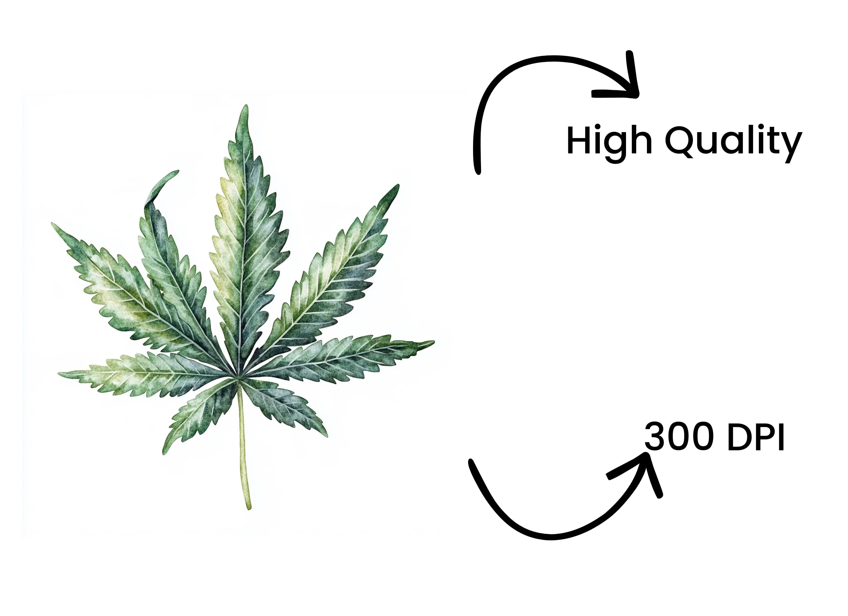 Cannabis Leaves Clipart Bundle
