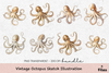 Vintage Octopus Sketch Illustration Clipart Bundle