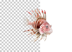 Vibrant Lionfish Ocean Clipart Bundle - CraftNest - Digital Crafting and Art