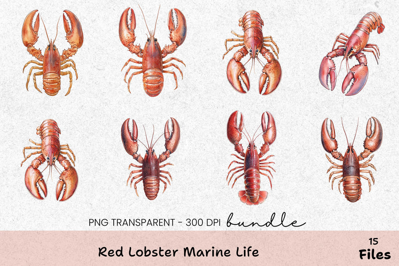 Red Lobster Marine Life Clipart Bundle - CraftNest - Digital Crafting and Art